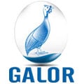 Galor