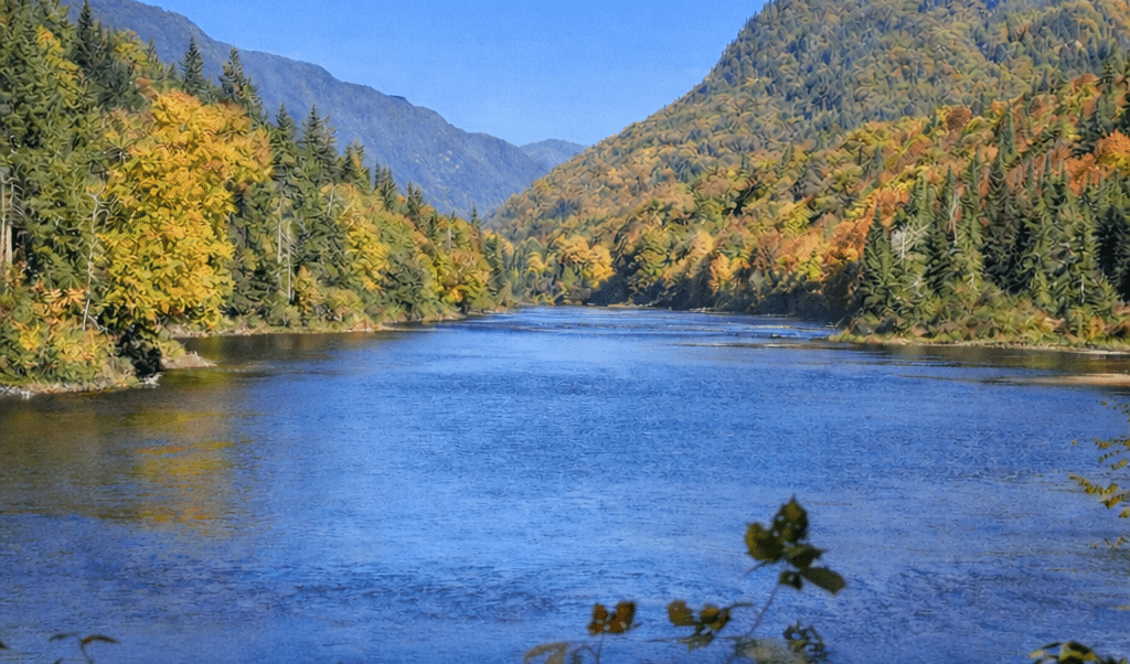 Voeux 2026 odego Conseil